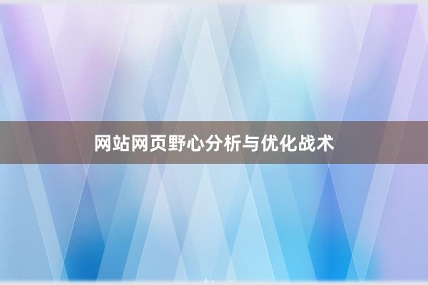 网站网页野心分析与优化战术
