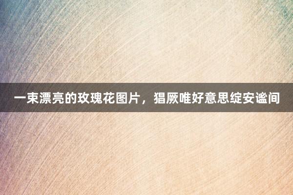 一束漂亮的玫瑰花图片，猖厥唯好意思绽安谧间
